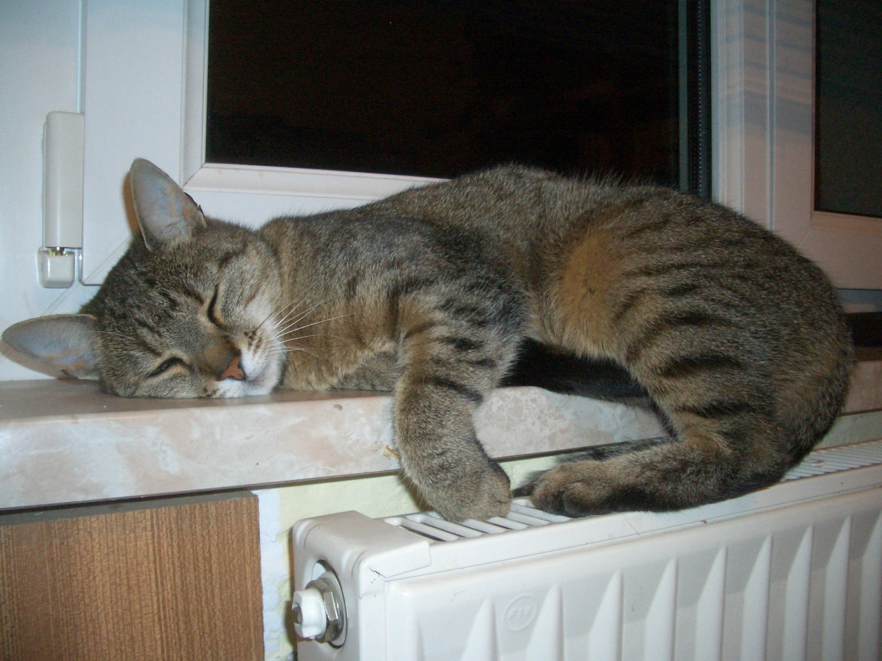 geschafft vom toben